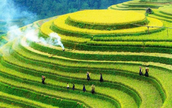 CHƯƠNG TRÌNH THAM QUAN ĐÔNG BẮC -VIỆT NAM: TP.HCM - HÀ NỘI - HÀ GIANG 3N2D