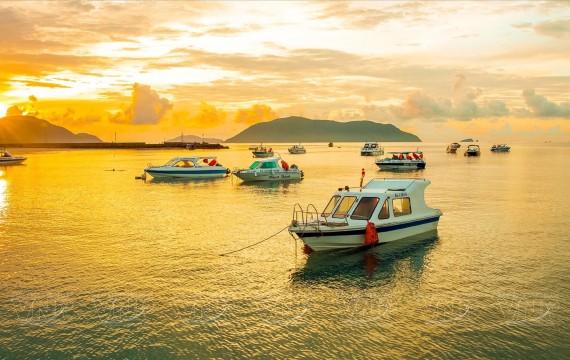 CÔN ĐẢO